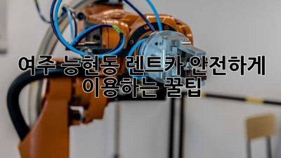 여주 능현동 렌트카 안전하게 이용하는 꿀팁!