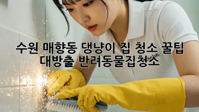 수원 매향동 댕냥이 집 청소🧹✨ 꿀팁 대방출! #반려동물집청소